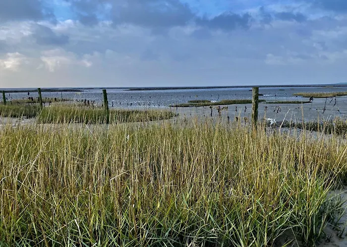 Vakantiehuis Salzwiesenblick *