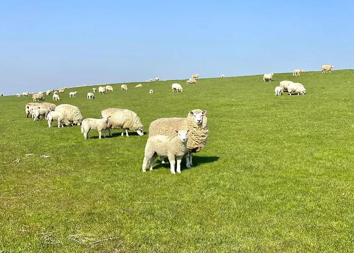 Vakantiehuis Salzwiesenblick Westerdeichstrich